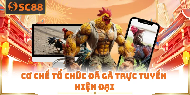 Cơ chế tổ chức đá gà trực tuyến hiện đại